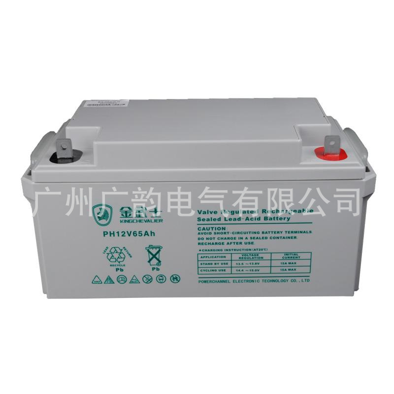 金武士12v65ah免维护蓄电池PV65-12 UPS蓄电池