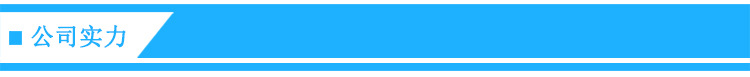 公司实力