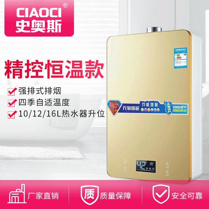 史奧斯科帥強排式家用熱水器 速熱式液化天然氣防凍熱水器