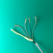 4о��ҕ����1.5MM�Ό���~������������ҕ��~����ភU݆�S���~��