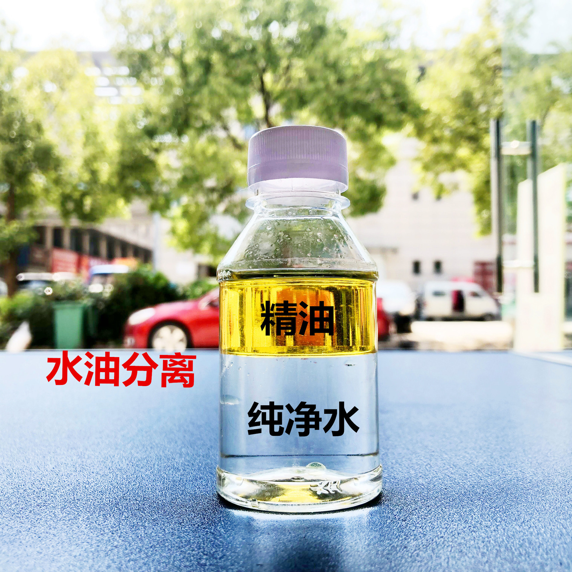 QQ图片20190623165203