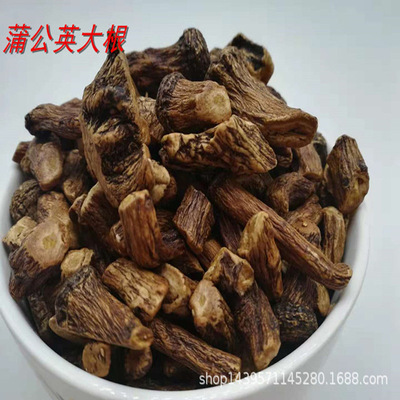 蒲公英根茶/婆婆丁根茶500克散装炒制熟茶量大优惠欢迎选购