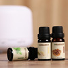 Aromatherapy, oil, diffuser, humidifier, suitable for import, wish, 10 ml, wholesale