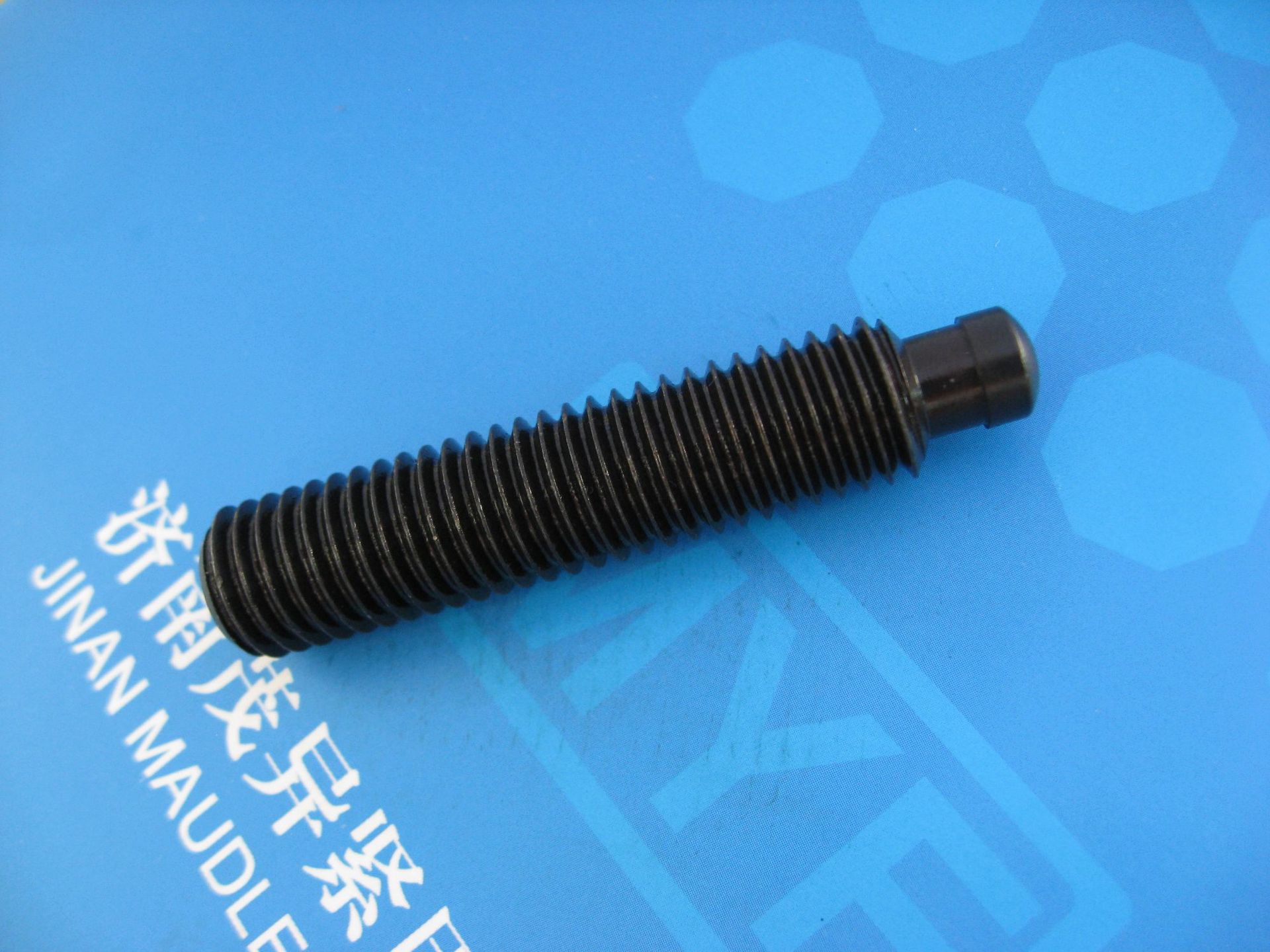 带推力点的螺钉DIN6332 (6)