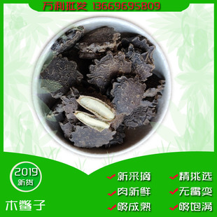 �V��ľ���� ľ�M�� ©������ͩ��ľ���ӷ�ľ�MŴ�����������