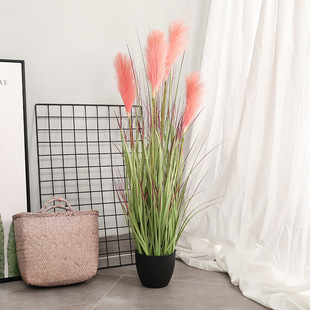 �S��ֱ�N���W�Ҿӷ���ٻ��JȔ���� �������[���辰36&rdquo;5�^�JȔ��
