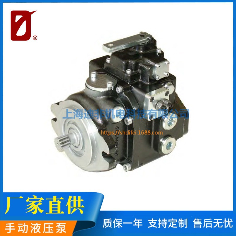 普通款柱塞泵 铸铁材质电动驱动方式液压输送泵 柱塞式电动泵