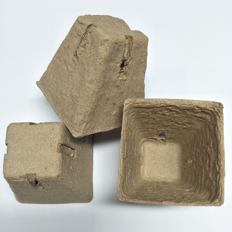 未标题-1_0000_IMG20190323110653