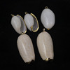 New Phnom Penh Herrot earrings Golden Conch shell Earrings Accessories Beach Earrings Shell Jewelry Accessories