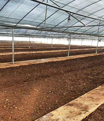 上海绿色蔬菜大棚恒温采暖设备 水源热泵大棚恒温冷暖设备