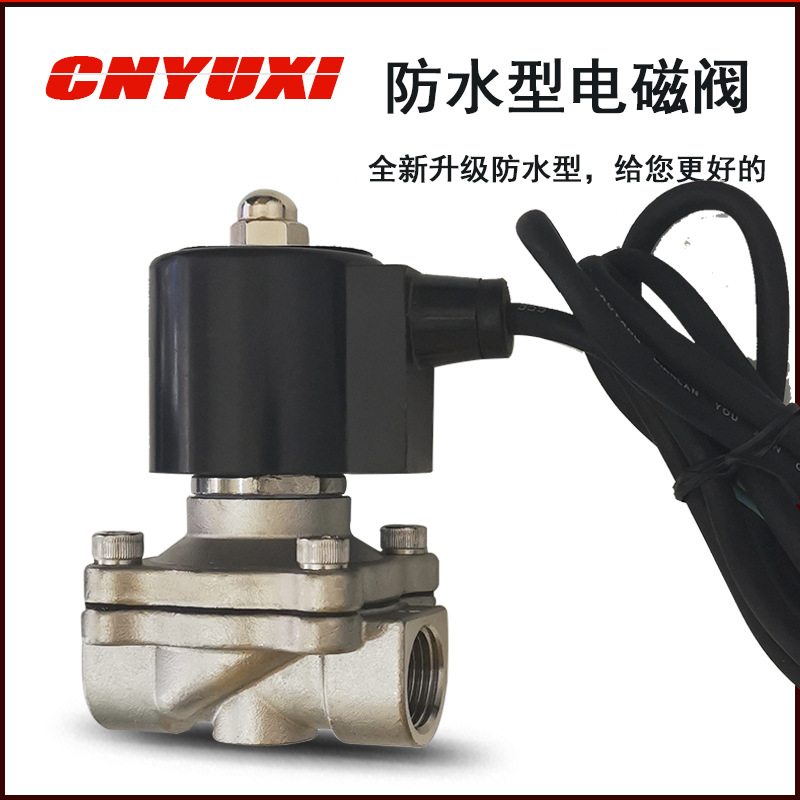 CNYUXI 304 Stainless steel outdoors Dedicated Valve 2S160-15/220V/24V4 waterproof Solenoid valve