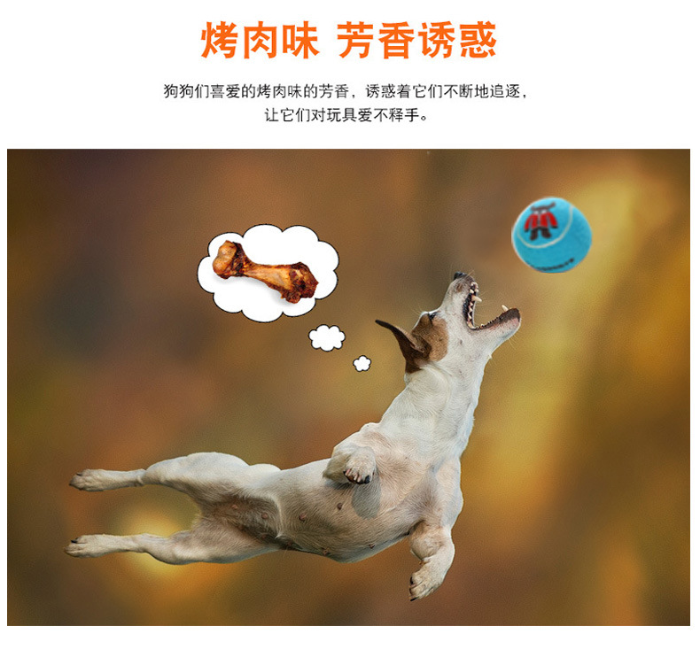 荣昌体育详情7_08