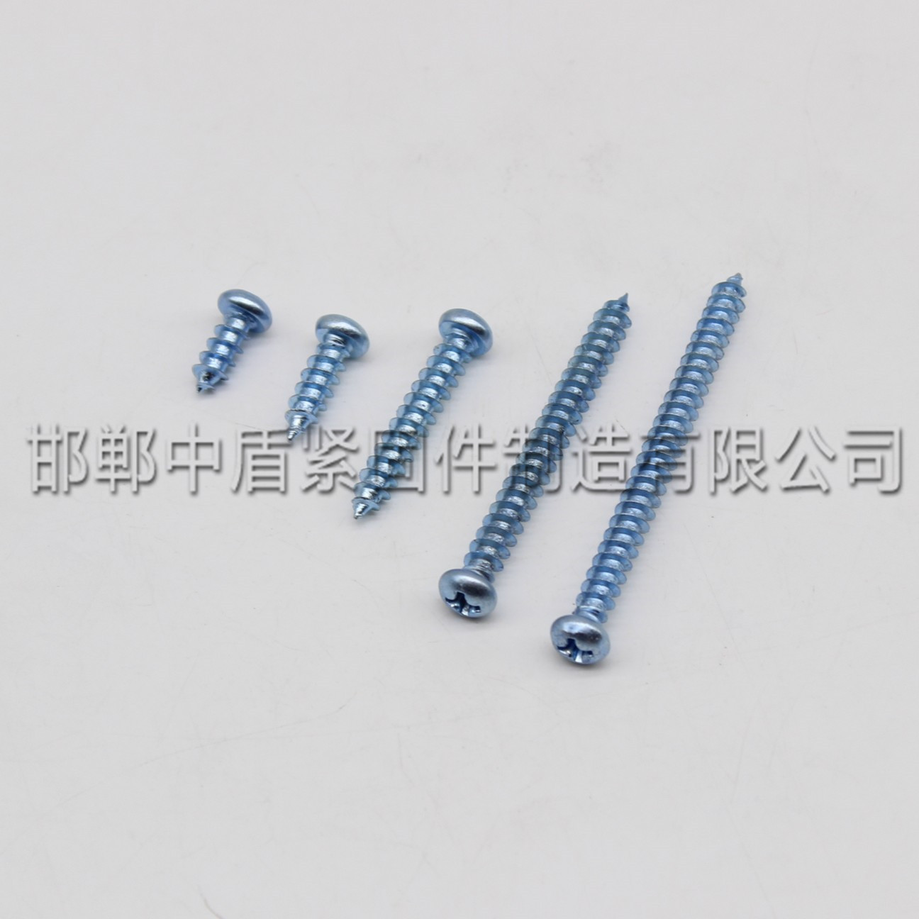 半圓頭自攻螺絲_conew1