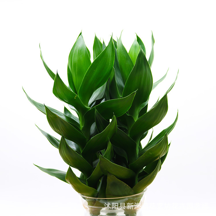 TB2G3QDdF5N.eBjSZFmXXboSXXa_!!