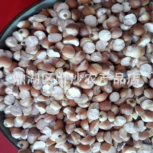 �a��؛Դ�ؑc�͌�8-9����_ɢ�b�͌����u�^���r�aƷ���l����ă�