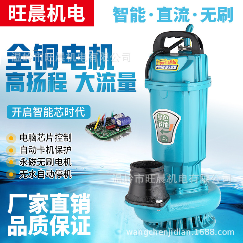 1寸2寸3寸4寸48V60V無刷直流潛水泵 農用灌溉抽水機 高揚程大流量