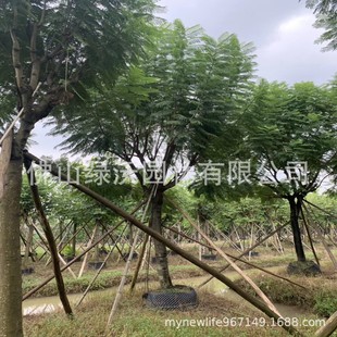 ��״��N18�־�Ʒ�{��麡����߲��~�{��� ���{�F�䡢���~�{���