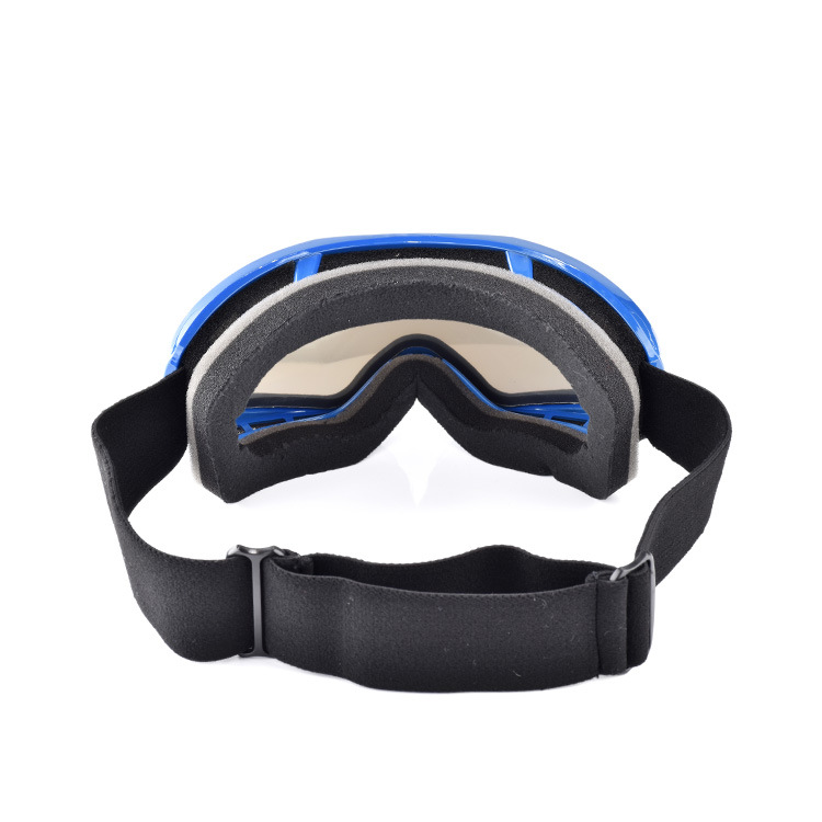 6-ski goggles
