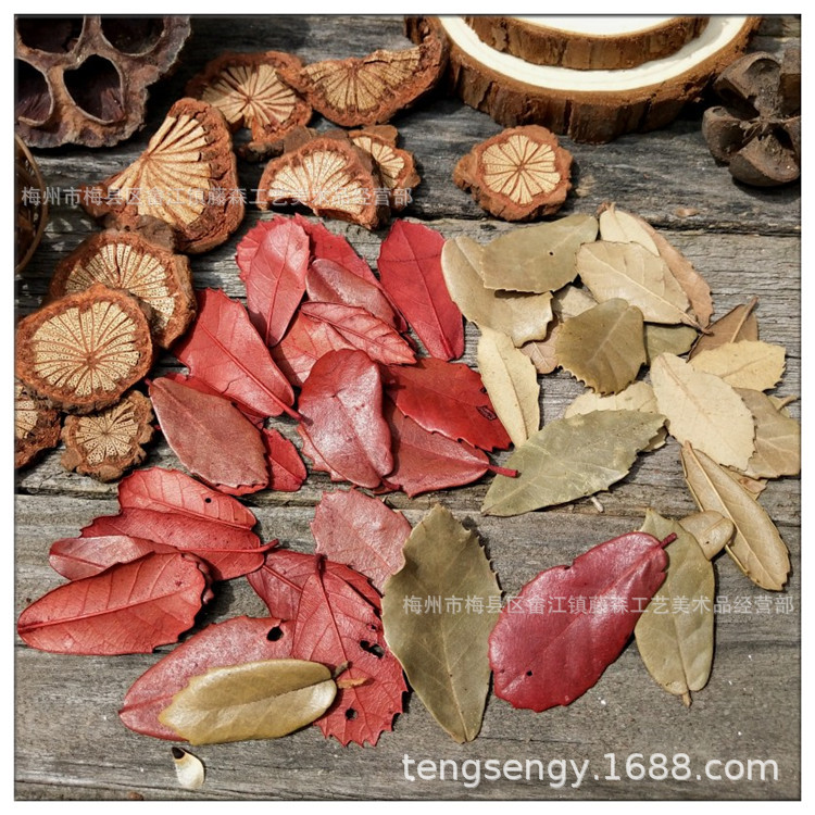 干枝树叶 圣诞藤环森系装饰 红色原色干花复古拍照摄影道具