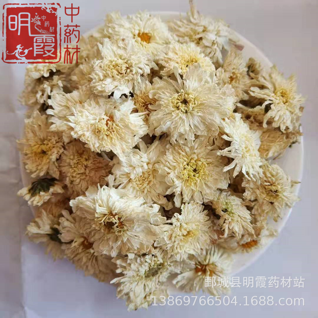 明霞药材 菊花【贡菊】批发零售 供应中药材 花茶