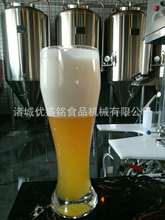 扎啤生產線 青島啤酒機器 瓶裝罐裝鮮啤釀造機械