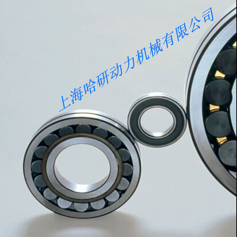 BS2-2214-2CS轴承 BS2-2214-2CS/TV143带密封调心滚子轴承