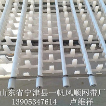 Ƶ͏dWУʳϴCW ɽϴ |ɿ؛r