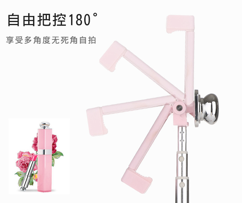 Bâton selfie en Acier inoxydable - Ref 3387267 Image 17