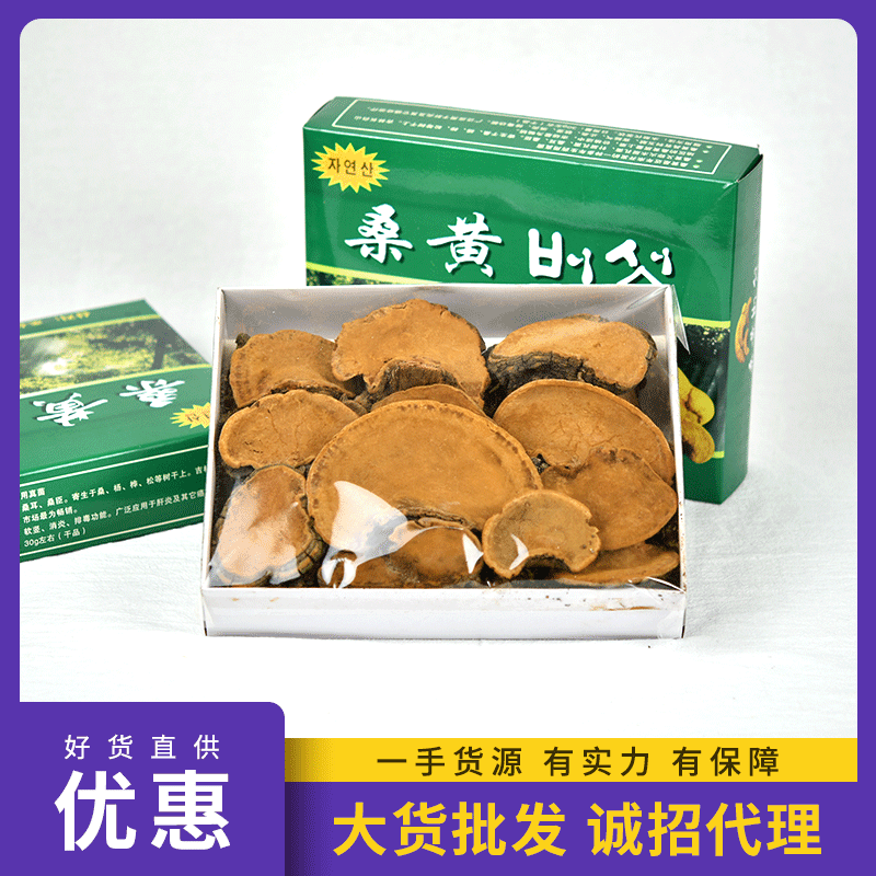 桑黄 桑黄灵芝 野生杨树黄 桑黄菌 西藏整枝灵芝500g 一件代发
