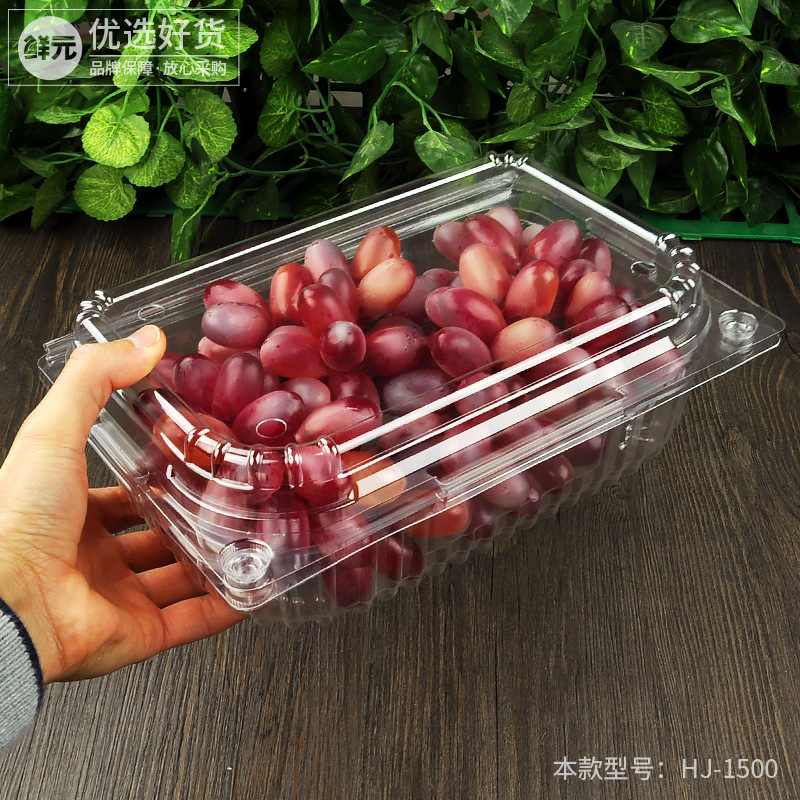 一次性水果盒一斤装草莓盒