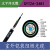 【太平洋】阻燃通信光缆 厂家直销 GYTZA-24芯 单模光纤 室外光缆