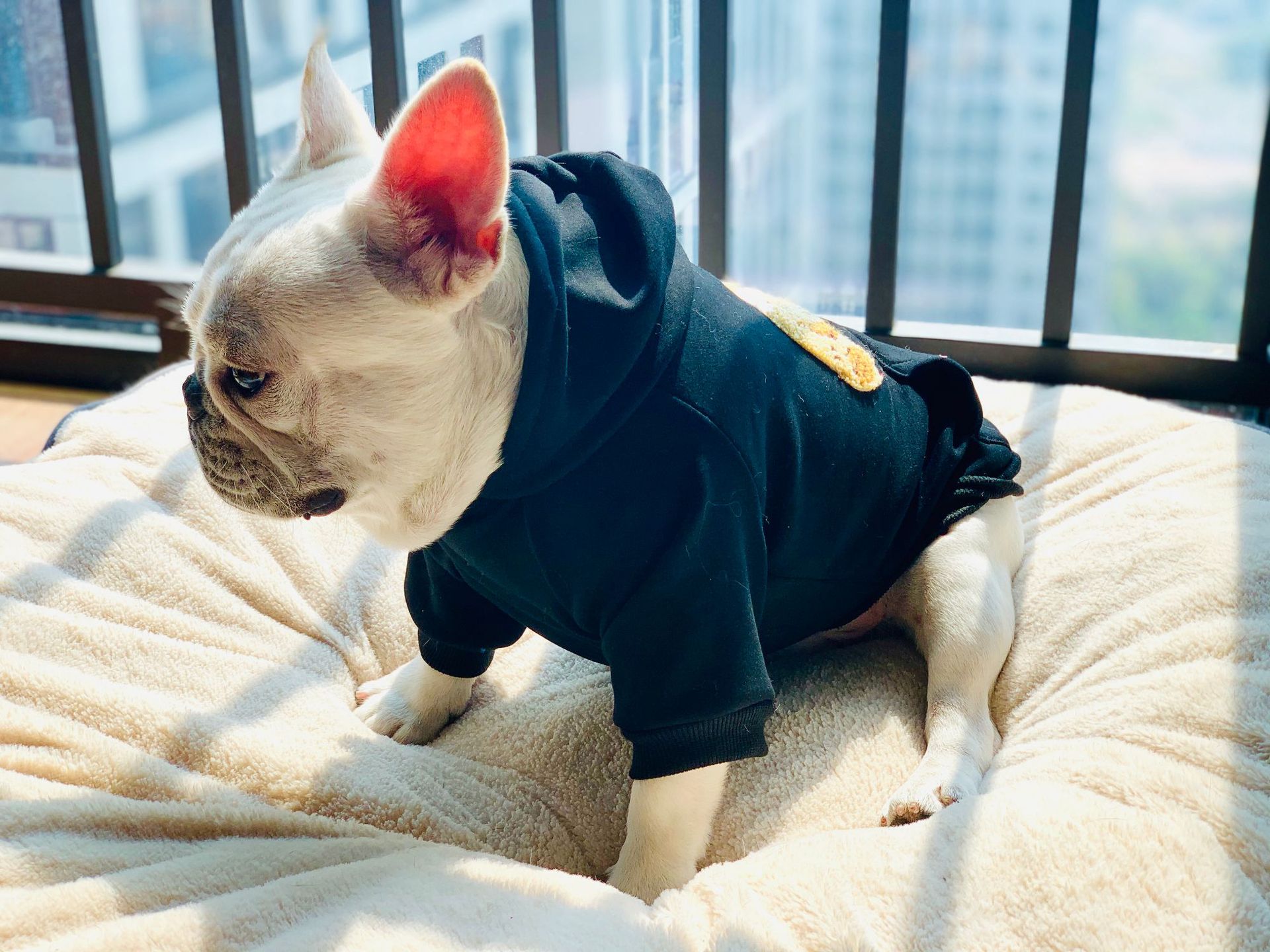 Angel PA Guillotine Bear Sweater Image 6