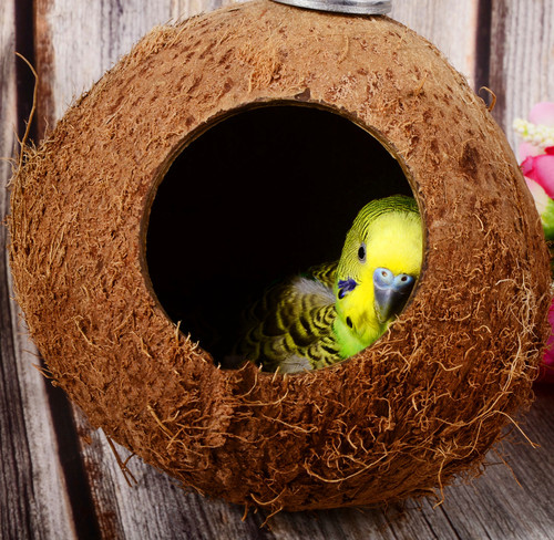 Parrot coconut shell nest Hamster squirrel breeding nest Parrot toy cooling nest Bird nest