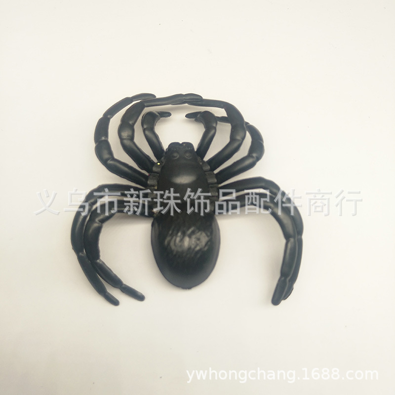 蜘蛛6