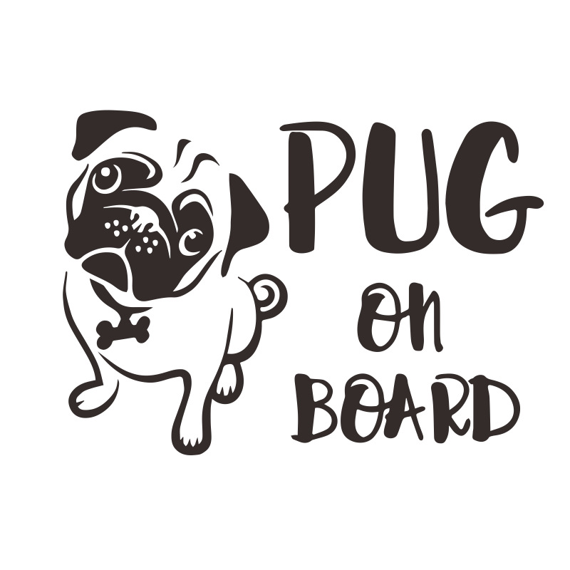 pug on board