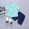 Summer summer clothing, children's set to go out, 2023 collection, with short sleeve, 1-4 years