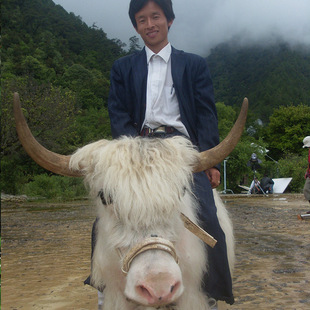 ��������ຣ����կ�� ��ľ�e���ξ��^�T��������w����ך�ţ