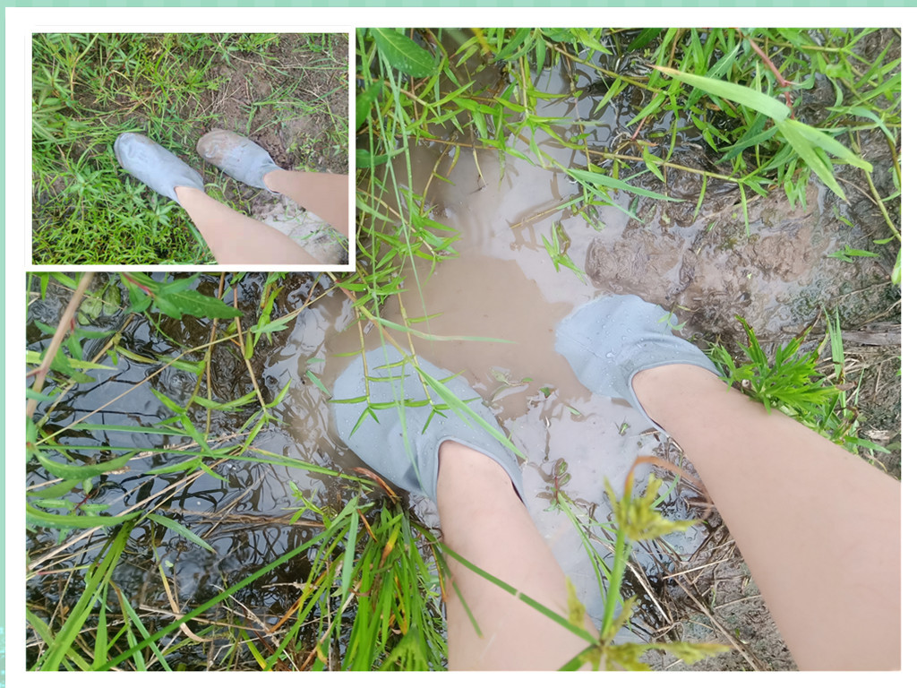 微信图片_20190712000859