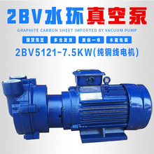 水环式真空泵水泵电机工业机高真空2BV5110/5111/2060/2070不锈钢