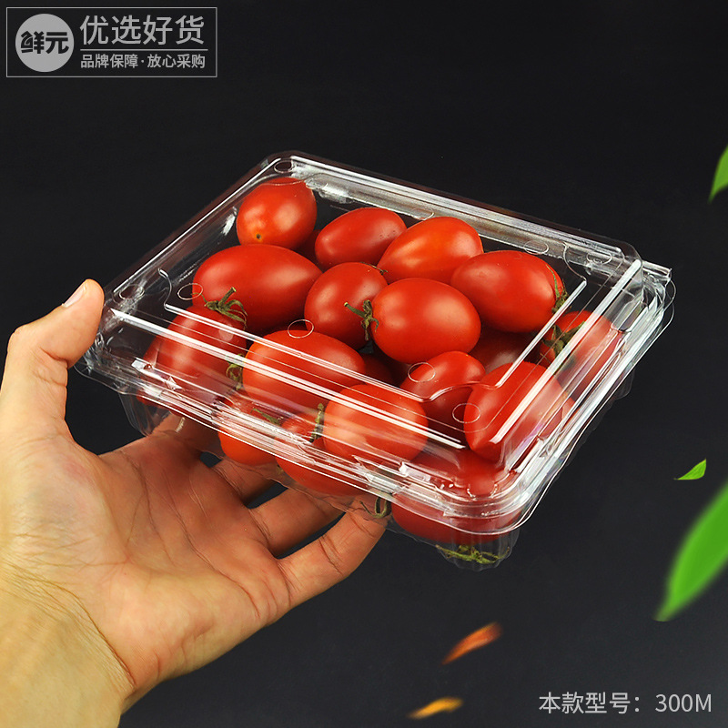 一次性水果盒一斤装草莓盒