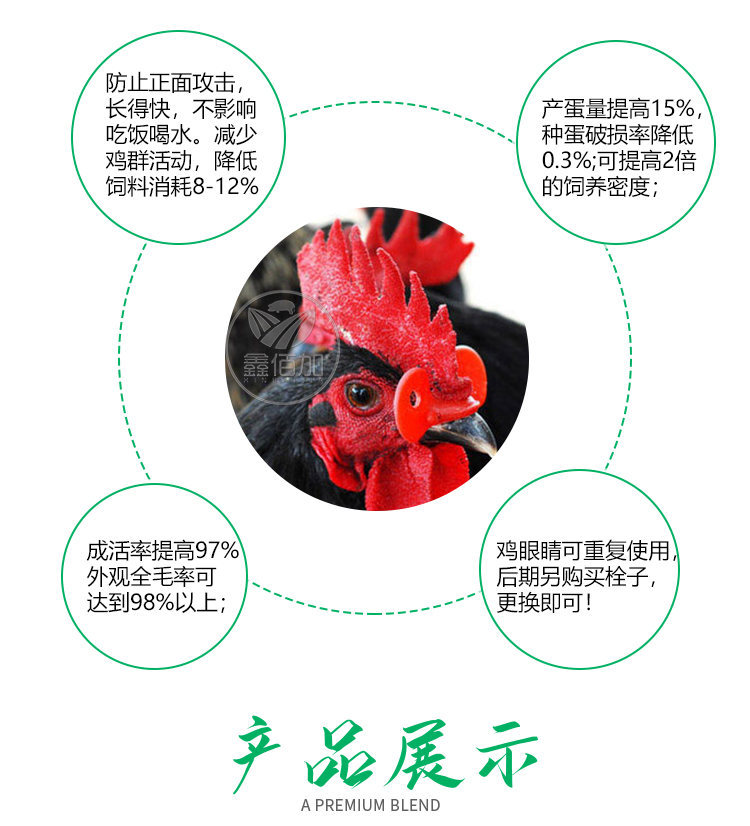 鸡眼镜BB详情页 (5).jpg