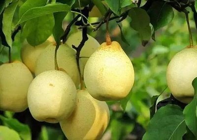 u=1303881702,4042504186&fm