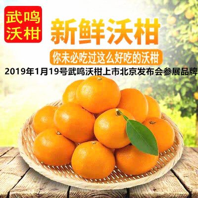 广西正宗武鸣沃柑水果新鲜现摘柑橘原产地一件代发绿色5斤包邮|ms