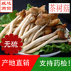 Fujian Furuta new goods 500g Specialities Mushroom Chaxingu dried food Chaxingu Place of Origin wholesale