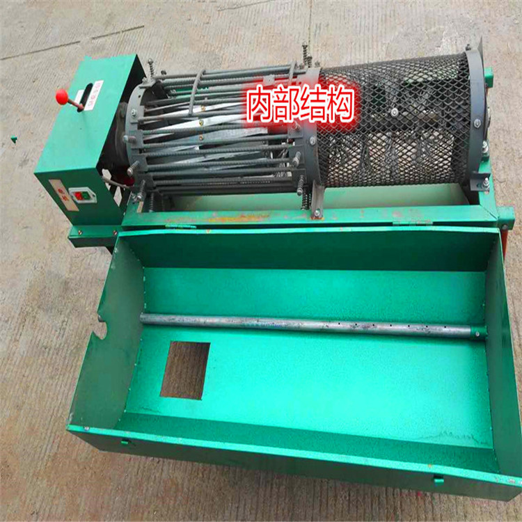 商用大型核桃破青皮机青去皮机去青皮机核桃剥皮机剥青皮机带刷子