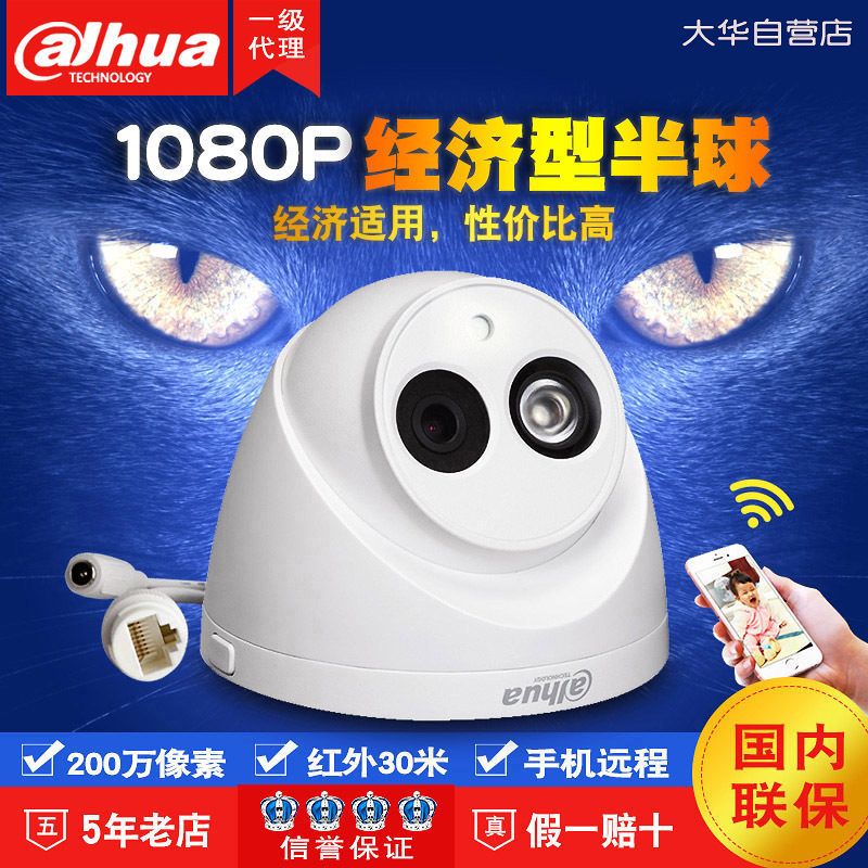 大华 高清200万POE半球摄像机录音