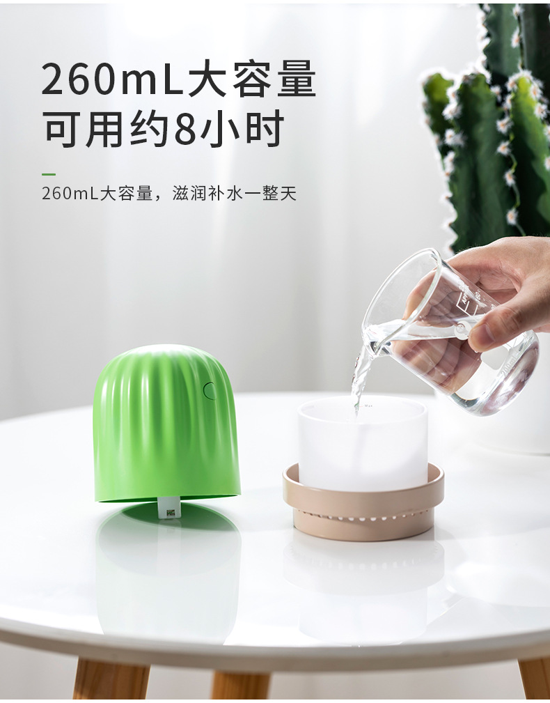 仙人球加湿器_15.jpg