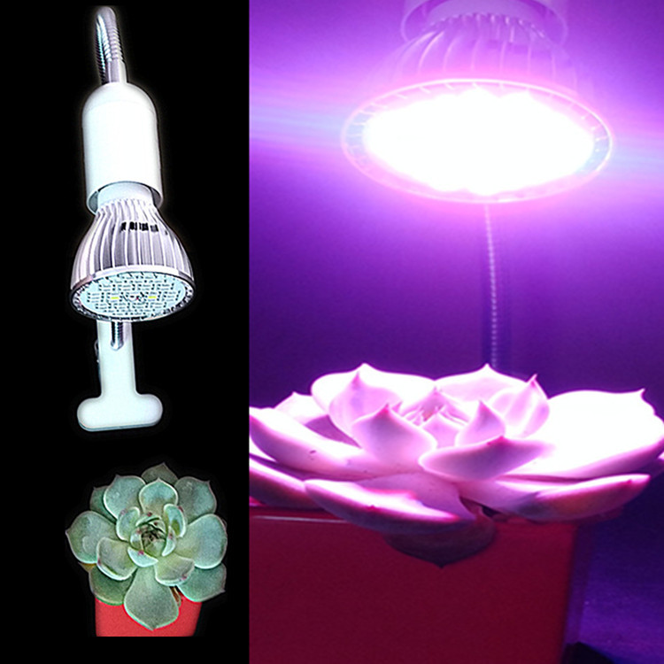Full Spectrum led Plant lamp holder Clip plant lamp e27 Clamp Botany Spotlight Single head 20W 40 bead