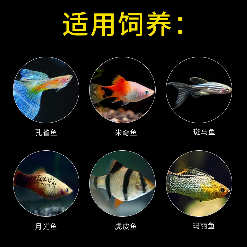 Dolphin Tropical Fish Food, Cichlid Peacock Miki Angel Small Ornamental Fish Goldfish Feed Color Enhancement Fish Food