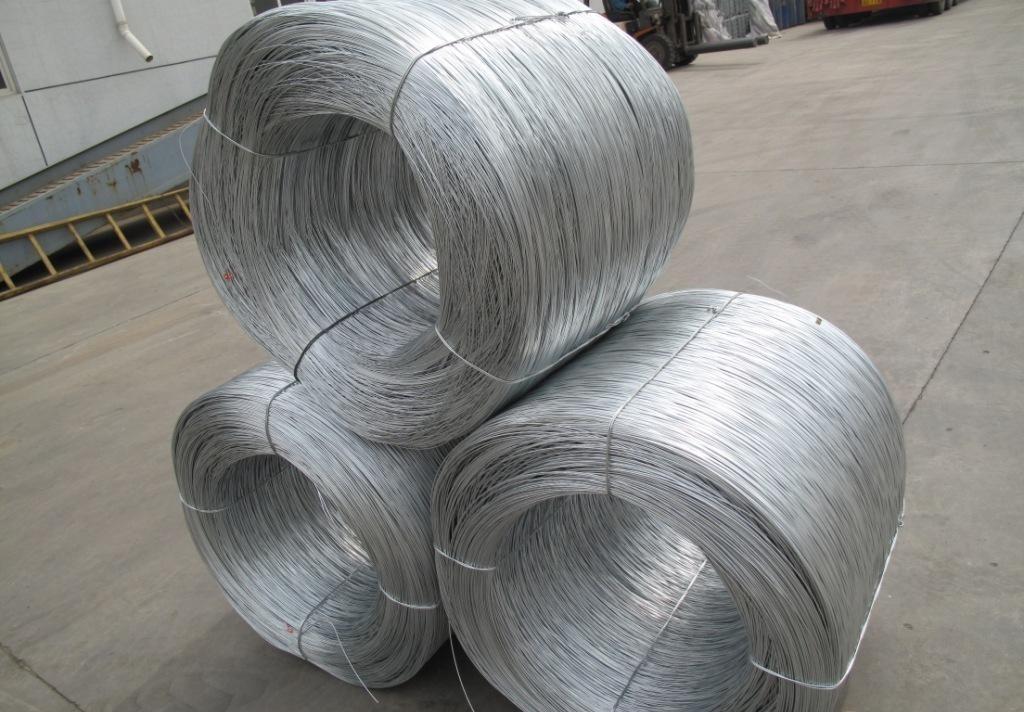 IMG111109222036718094